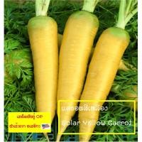 ราคา เมล็ดพันธุ์ แครอท สีเหลือง(Solar Yellow Carrot Seed)บรรจุ 200 เมล็ด นำเข้าจากสหรัฐอเมริกา คุณภาพดี ราคาถูก ของแท้ 100% (3335194701)