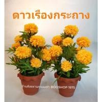 ราคา (2กระถาง) ดาวเรืองกระถางบูชา ดาวเรืองประดิษฐ์ ดอกไม้ตั้งโต๊ะ​หมู่ ตั้ง​หิ้ง​พระ​ ขายเป็นคู่ (2 กระถาง) (6346119278)