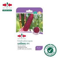 ราคา ศรแดง เมล็ดพันธุ์ข้าวโพดข้าวเหนียวหวานลูกผสม มณีแดง F1 (East-West Seed) เมล็ดพันธุ์ ผักสวนครัว ตราศรแดง (18847958681)