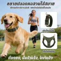 ราคา ปลอกคอสุนัขนายล่อน ปลอกคอสุนัขใหญ่ปรับได้ ปลอกคอสุนัขพันธุ์ (55261266907)