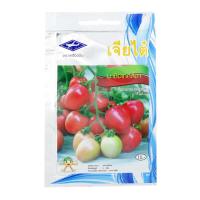 ราคา เจียไต๋ เมล็ดพันธุ์มะเขือเทศสีดา |EV| (44757976412)