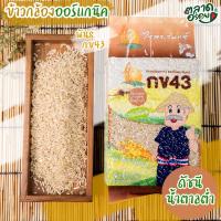 ราคา ข้าวกล้อง กข43 แท้ 100% บรรจุ 1 กก. ตราไร่พระจันทร์ moonricefarm ข้าวกล้องกข43 ข้าวกข 43 (ดัชนีน้ำตาลต่ำ) ปลูกโดยวิถี (7655221546)