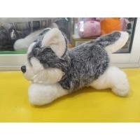 ราคา ตุ๊กตาสุนัข ไซบีเรียนฮัสกี้ น่ารักน่ากอด (24720382963)