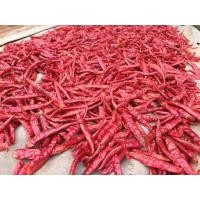 ราคา พริกแห้ง จินดา (เด็ด) 1 กก.เม็ดอวบ ทำน้ำพริก ทำพริกแกง พริกป่นและอื่นๆ (42174947655)