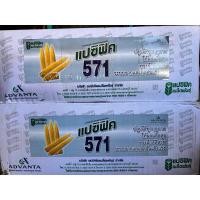 ราคา เมล็ดพันธุ์ข้าวโพดฝักอ่อนแปซิฟิค571 ขนาด5กก.x4ถุง (27072403553)