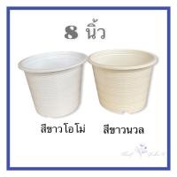ราคา กระถางขาว 8 นิ้ว ขาวโอโม่ ขาวนวล พลาสติกหนา แข็งแรง ทนทาน (12403524605)