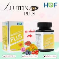 ราคา HOF LUTEIN PLUS 30Capsules ฮอฟ ลูทีน พลัส ( Lutein & Zeaxanthin ) Marigold Pharmahof #12497 (26179646491)