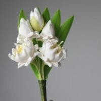 ราคา ดอกบัวหลวงสีขาว 5 ดอกปลายลวดดินปั้น ขนาด สูง 7” งานดินปั้น ใช้สำหรับประดับตกแต่ง บูชาสิ่งศักดิ์สิทธิ์ (ราคาต่อช่อ) (26560626420)
