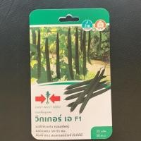 ราคา เมล็ดพันธ์ุบวบเหลี่ยมลูกผสม วิกเกอร์ เอ (ศรแดง) (4418080818)