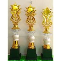ราคา ถ้วยรางวัลหินอ่อน ชุดถ้วยรางวัล ถ้วยรางวัลเด็ก ถ้วยรางวัลพลาสติก ฟรี เซียร์ (56909115690)