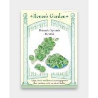 ราคา เมล็ดพันธุ์ ผักสวนครัว กะหล่ำดาว Brussels Sprouts Hestia (7161334842)