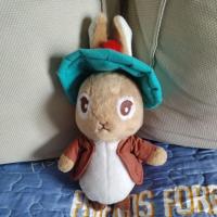 ราคา ตุ๊กตากระต่าย peter rabbit มือ2 สภาพดี (54106480948)