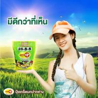 ราคา นกปากห่าง 25-5-5 (ปุ๋ยเขียว ปุ๋ยละลายน้ำฉีด) สูตรเร่งต้น เร่งใบ (1 กก.) (19988846071)