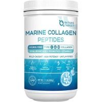 ราคา NATURE TARGET Marine Collagen Powder for Women - Multi Collagen Peptides with Hyaluronic Acid & Vitamin C for Hair, Skin, Nails & Joints - Wild-Cught Fish & Grass-Fed Bovine, 50 S (56960371001)