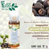 ราคา ชีววิถี แชมพูสมุนไพร ขนาด240 ml. มี4สูตร ใบกะเม็ง มะรุม มะคำดีควาย มะกรูด (25904860625)