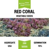 ราคา เมล็ดพันธุ์ ผักสลัด เรดคอรัล (Red Coral) ผักกาดหอม Lettuce (44406581845)