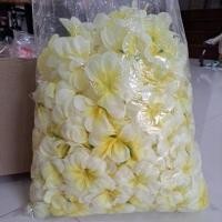 ราคา ดอกลีลาวดี 1ถุง500ดอก ดอกลีลาวดีสีขาวกลางเหลือง พร้อมส่ง (29952243214)