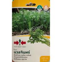 ราคา เมล็ดพันธุ์ คื่นฉ่าย ขึ้นฉ่าย นวลจันทร์ ศรแดง ผักซอง (2001293459)