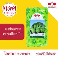 ราคา มะเขือเปราะ หยาดทิพย์ F1 เมล็ดพันธุ์ มะเขือ มะเขือจาว มะพร้าว ลูกผสม ตรา ศรแดง บรรจุ 20 กรัม (28793498022)