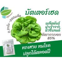 ราคา เมล็ดพันธุ์ ผักสลัด บัตเตอร์เฮด (Butterhead) แหล่งรวบรวมนิวซีแลนด์ (16094003585)