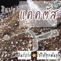 ราคา ดินปลูกแคคตัส ถุง 2.5 กิโล สูตรดินโปร่ง (4362452779)