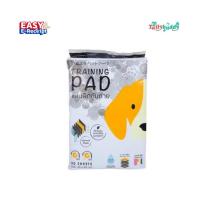 ราคา Hajiko Training Pad Charcoal Size M (45x60cm) ฮาจิโกะ แผ่นรองฉี่ ฝึกขับถ่าย ชาร์โคล ดูดซับได้มาก ยับยั้งกลิ่นได้ยาวนาน ไ (4220673584)
