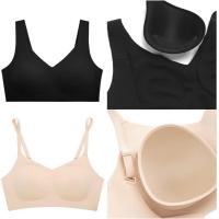ราคา บรา Sabina A70/80 ,B75 ,C70/75 ,D65/70 ของใหม่ (8904001465)