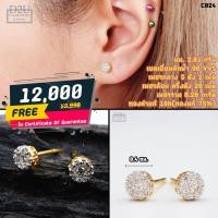 ราคา ต่างหูเพชร ราคาเพียง 12,000 บาทเท่านั้น!!! (ติดต่อสอบถามได้นะครับ) (6467003848)