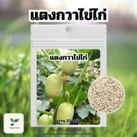ราคา เมล็ดพันธ์ุ แตงกวาไข่ไก่ | แตงกวาขาวมินิ บรรจุ 20 เมล็ด เมล็ดพันธุ์ผัก เมล็ดพันธุ์พืช ปลูกผักสวนครัว ปลูกผักกินเอง (28318835977)