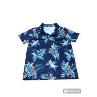 ราคา เสื้อคอปก AIIZ ลายนก (24026723817)