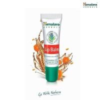 ราคา [Sale!!! ของแท้ ถูกที่สุด!!!] Himalaya Herbals Lip Balm 10g แท้​ % (5476863092)