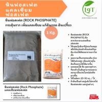 ราคา หินฟอสเฟต 1 kg. (Rock Phosphate) กระตุ้นราก เพิ่มแคลเซียม แก้ดินกรด ดินเปรี้ยว (28981859960)