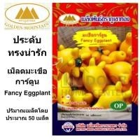 ราคา ภูเขาทอง เมล็ดมะเขือการ์ตูน เม็ดมะเขือ มะเขือการ์ตูน เมล็ดพันธุ์พืช ปริมาณ 50 เมล็ด (7492952821)