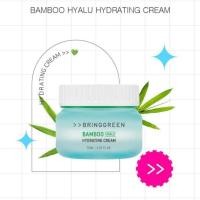 ราคา Bring Green Bamboo Hyalu Hydrating Cream 75ml (27473890410)