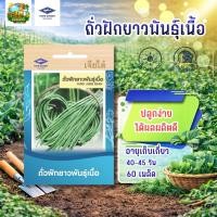 ราคา ถั่วฝักยาว พันธุ์เนื้อ CT/OP-047 ผักซองเจียไต๋ เมล็ดพันธุ์ผัก ถั่ว เมล็ดพืชผักสวนครัว ประมาณ 60เมล็ด (23681144818)