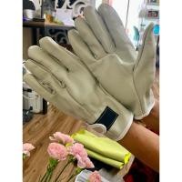 ราคา ถุงมือเชื่อม ถุงมือหนังเชื่อม ถุงมือเชื่อม tig (49701405834)