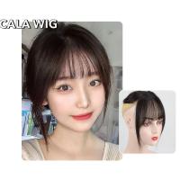 ราคา หน้าม้าผมแท้ 3Dหน้าม้าสั้นผ้าเนื้อผมแท้ ผมจริง100% หน้าม้าแผ่นปิดผมบาง แฮร์พีชปิดผมหงอกปิดผมบาง (26304159670)