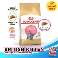 ราคา ROYAL CANIN KITTEN BRITISH SHORTHAIR 10KG ลูกแมวพันธุ์ บริติช ชอร์ทแฮร์ (1484979373)