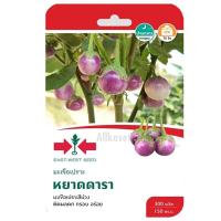ราคา เมล็ดมะเขือเปราะ หยาดดารา ตราศรแดง (25832985293)