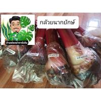 ราคา กล้วยนาคยักษ์/หน่อกล้วยนาค (19529413025)