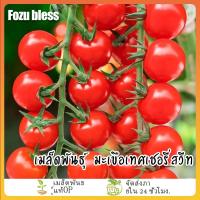 ราคา เมล็ดพันธุ์ มะเขือเทศเชอรี่สวีท110 เมล็ดมะเขือเทศเชอรี่สวีทปริ้นเซ็ท มะเขือเทศเชอรี่แดงกลม มะเขือเทศเชอรี่กลม (41020714604)