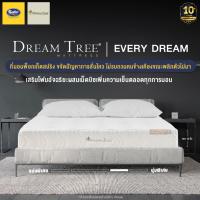 ราคา Dream Tree ที่นอนพ็อกเก็ตสปริง รุ่น EveryDream หนา 12 นิ้ว ขจัดปัญหาการสั่นไหว ไม่รบกวนคนข้างเคียงขณะพลิกตัวไปมา ส่งฟรี (10359495644)