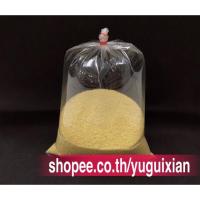 ราคา ข้าวฟ่าง(优质散装小米)ขนาด500g ข้าวฟ่างเกรดคุณภาพ คุณค่าทางโภชนาการสูง ประกอบอาหารได้หลากหลาย เช่นโจ๊กข้าวฟ่าง ข้าวฟ่างเปียก (3840822889)