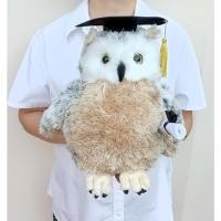 ราคา ตุ๊กตานกฮูก ขนนุ่ม ก้นถ่วง Antics Collection Graduation School Owl Cap ขนาด 12 นิ้ว (22261556447)