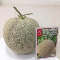 ราคา เมล่อนเกาหลี JJ HA GYE F1 1ซอง 10g 370 เมล็ด. 7 #เมล็ดเมล่อนเกาหลี (2005328586)