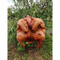 ราคา เหล็กอบไก่อบโอ่ง​ ตะขอเกี่ยวไก่อบโอ่ง ตะขอเกี่ยวหมูอบโอ่ง​ 10อัน​ 200บ. (24461572901)