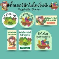 ราคา [โปร10แถม1] - สติ๊กเกอร์ ผักไฮโดรโปนิกส์ ผักสด ผักสลัด Hydroponics Vegetables Sticker ไดคัท (27730034163)