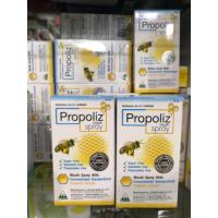 ราคา Propoliz Mouth Spray 15 ml. (18478576780)