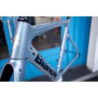 ราคา เฟรมจักรยานเสือหมอบดิสก์เบรค Bianchi Aria สีพิเศษ (10985731354)