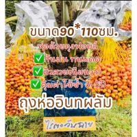 ราคา ถุงห่ออินทผลัม ถุงห่อไร่ตะวันฉาย ถุงฟอย ถุงห่อผลไม้ กันแมลง ถุงห่อกล้วย บรรจุ 10-30 ใบ/แพ็ค (25615865562)